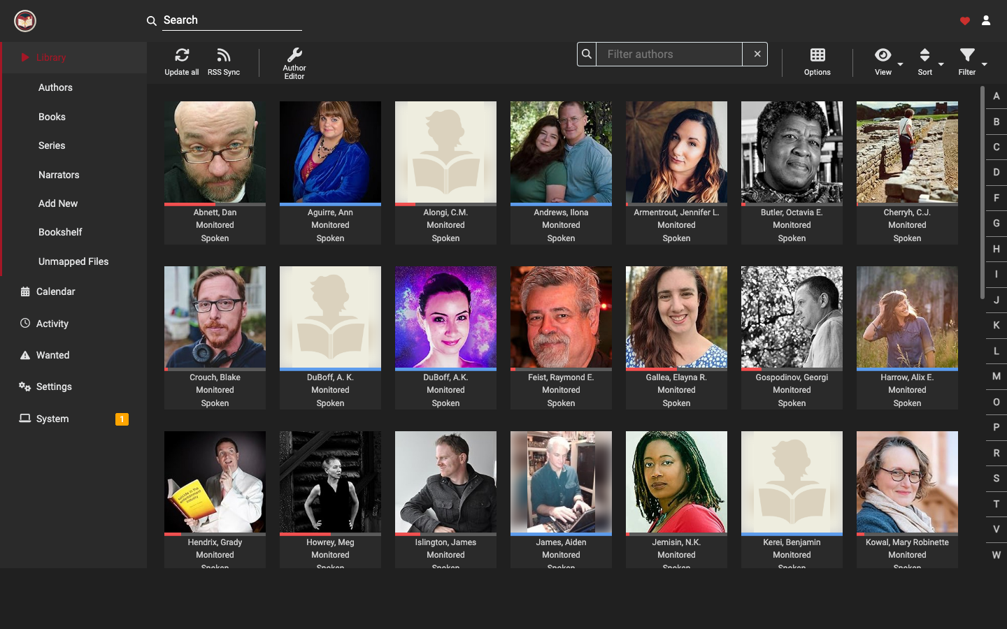 ReadAIrr library grid with narrator navigation
